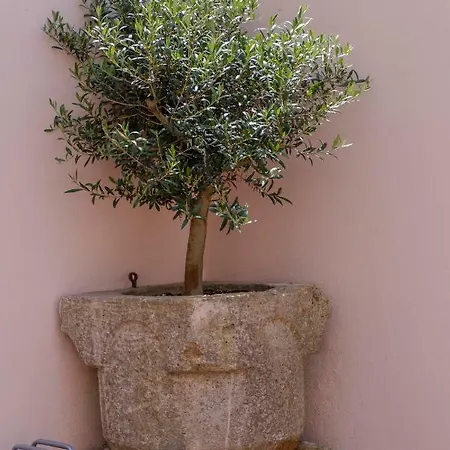 Appartamento Ljubica