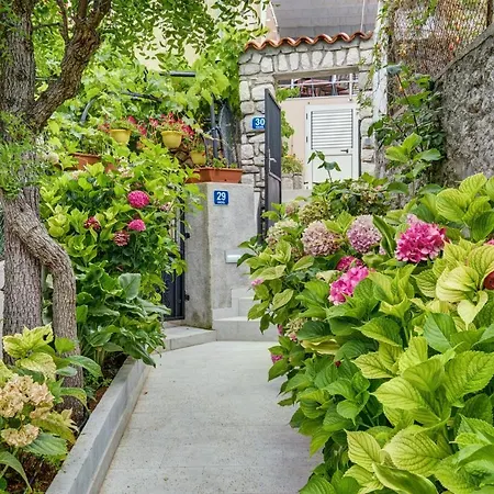 Ljubica Veli Lošinj